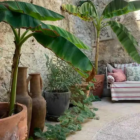 Maison Provencale De Caractere Valréas